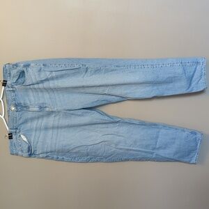American Eagle Mom Jean - 20 LONG